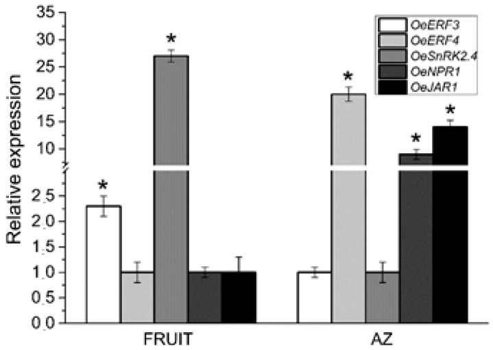 Figure 5