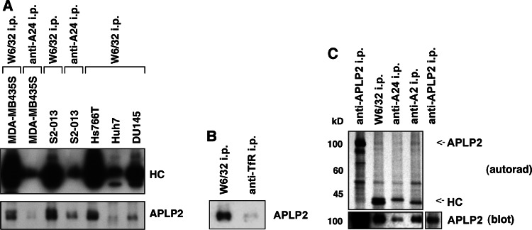 Fig. 5