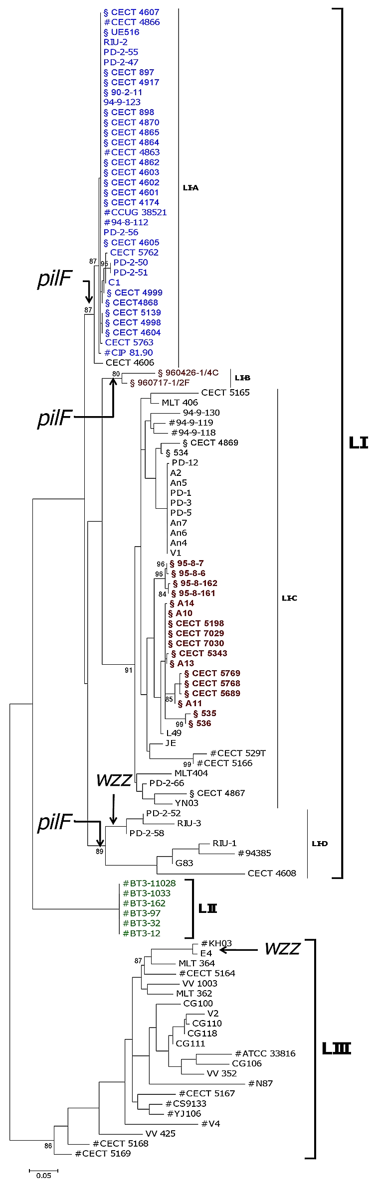 FIG. 1.