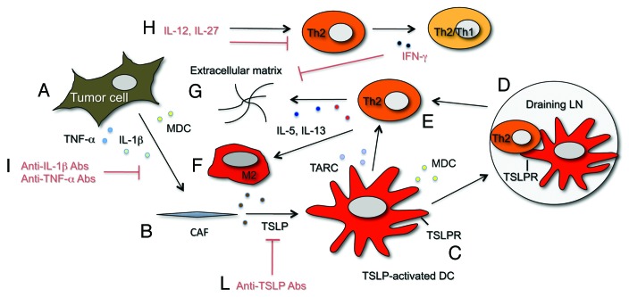 Figure 1.