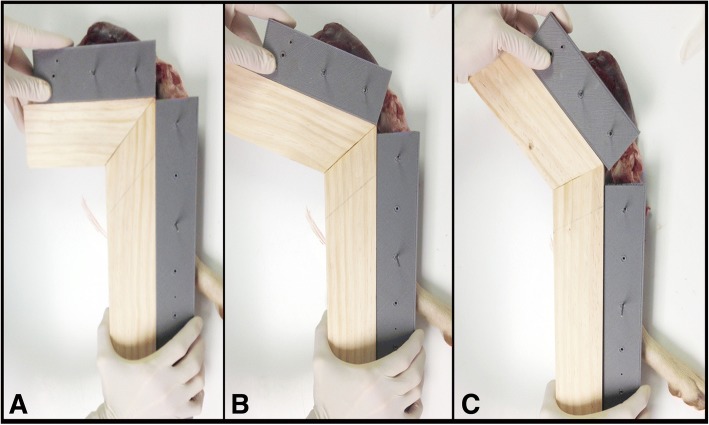 Fig. 2