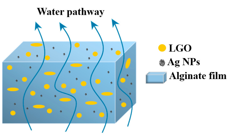 Figure 10