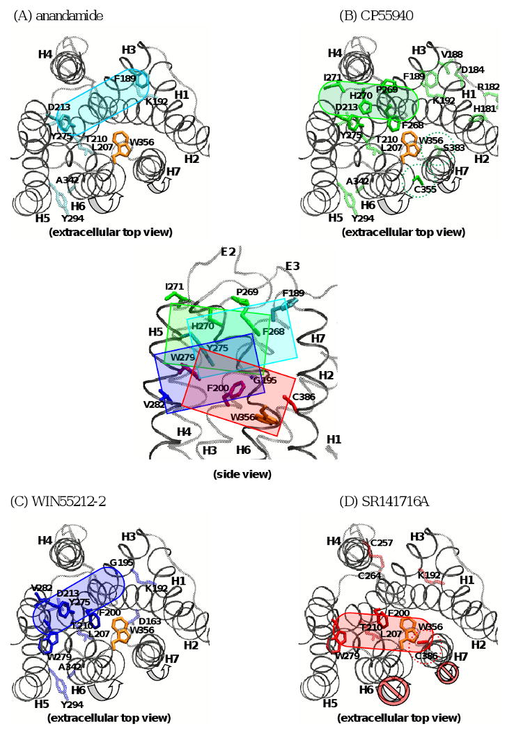 Fig. (3)