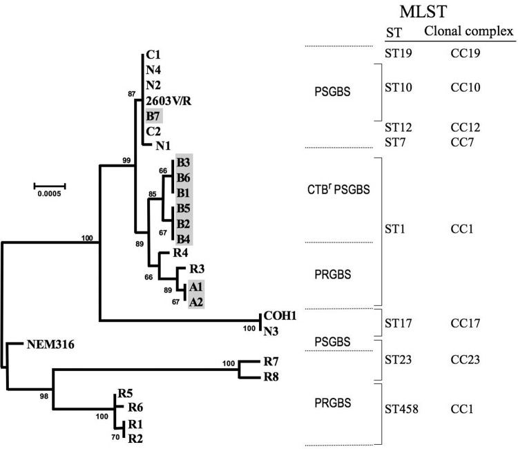 FIG 1