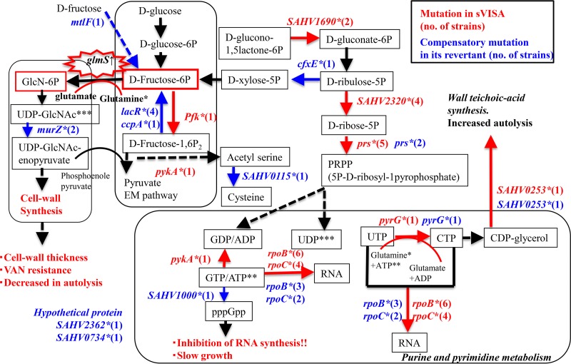 FIG 1