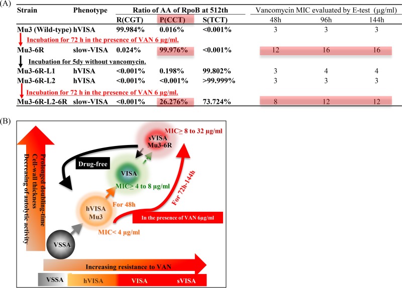 FIG 6