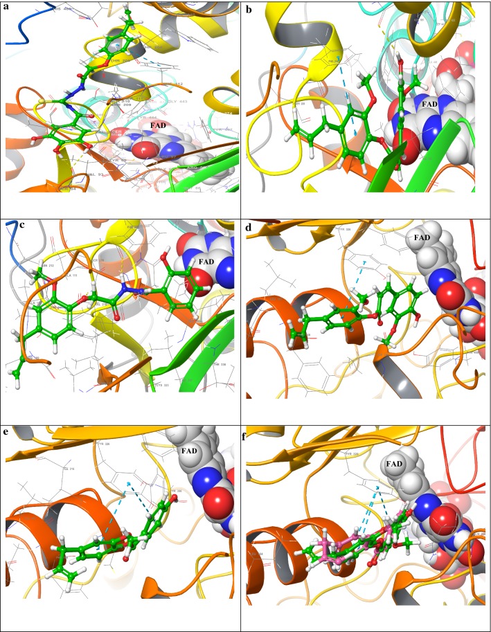 Fig. 6