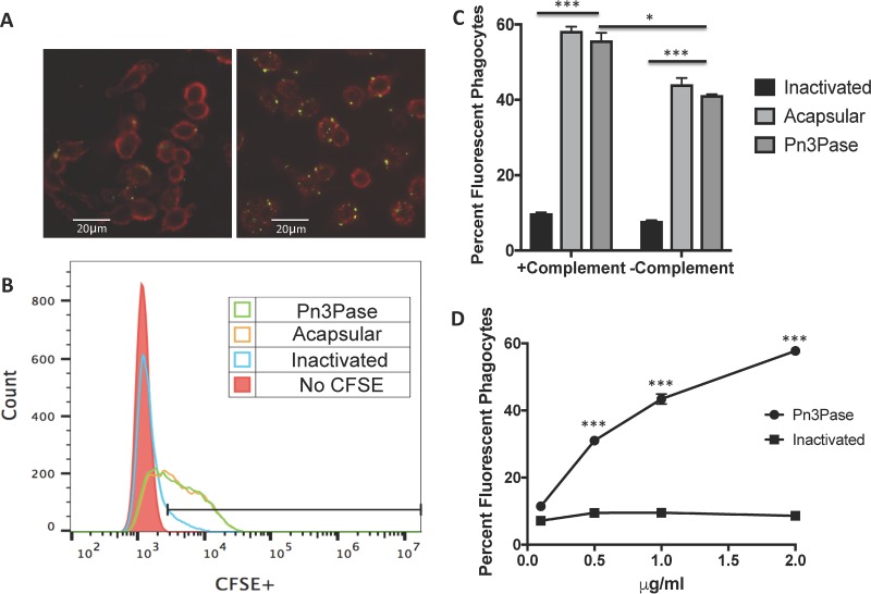 FIG 3