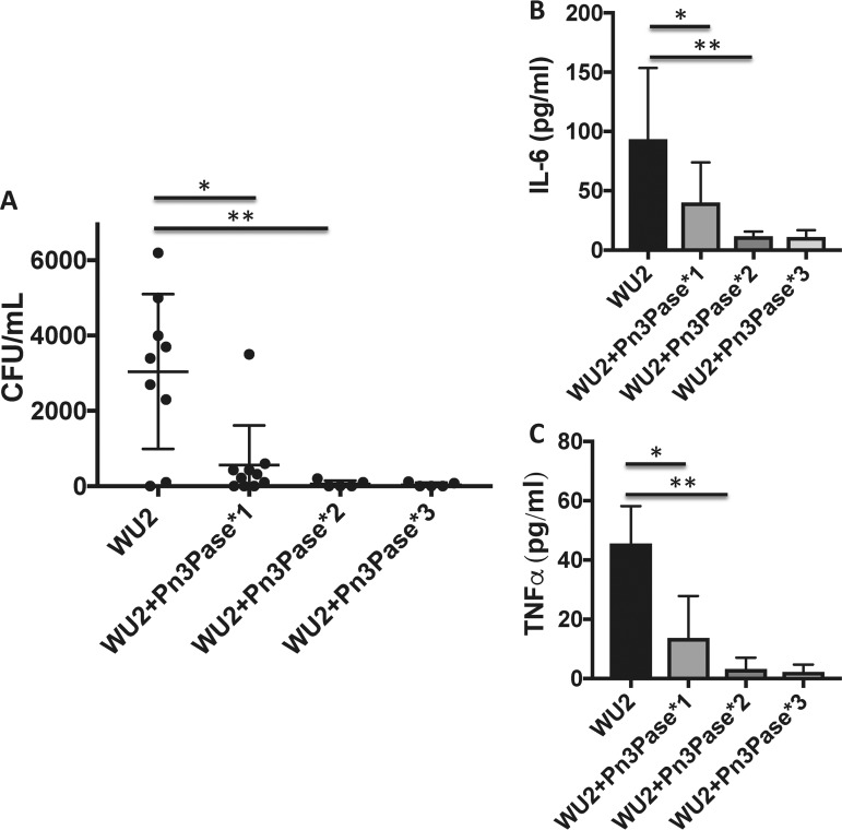 FIG 6