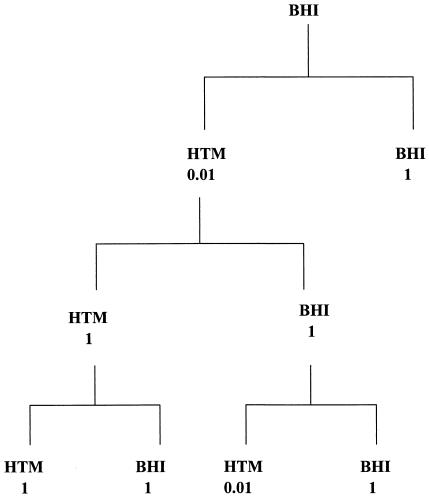 FIG. 2.