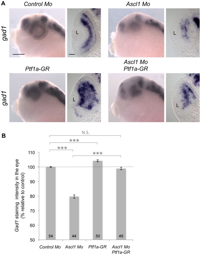 Figure 11