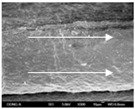 graphic file with name polymers-12-02955-i040.jpg