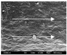 graphic file with name polymers-12-02955-i043.jpg