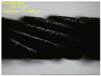 graphic file with name polymers-12-02955-i027.jpg