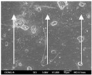 graphic file with name polymers-12-02955-i033.jpg