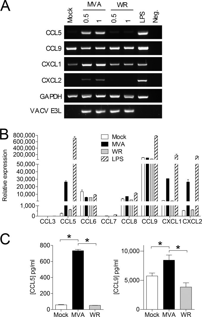 FIG 3