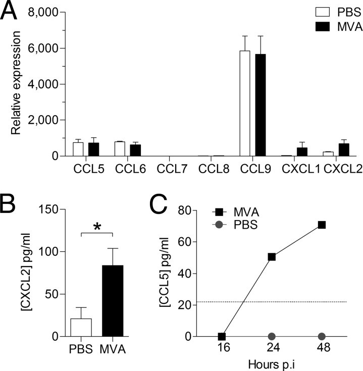 FIG 6