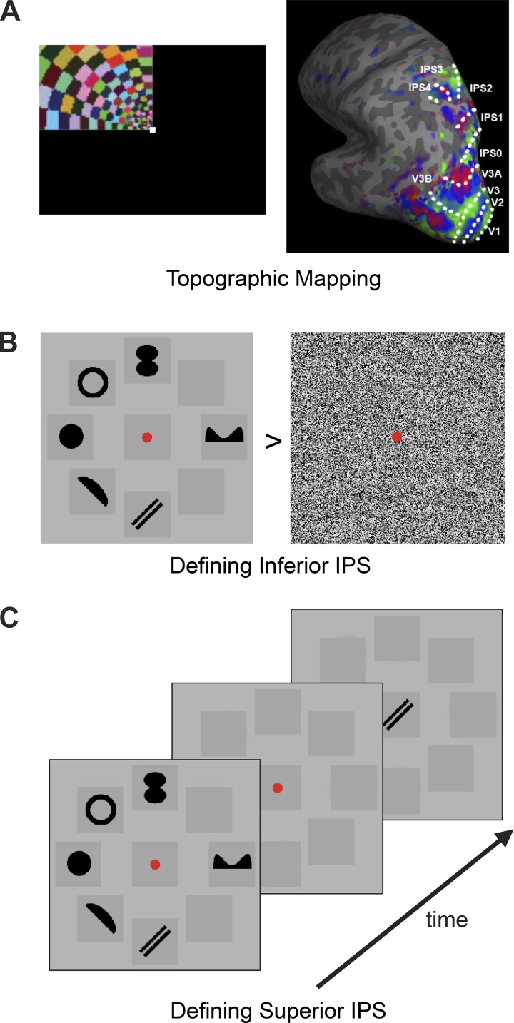 Fig. 1.