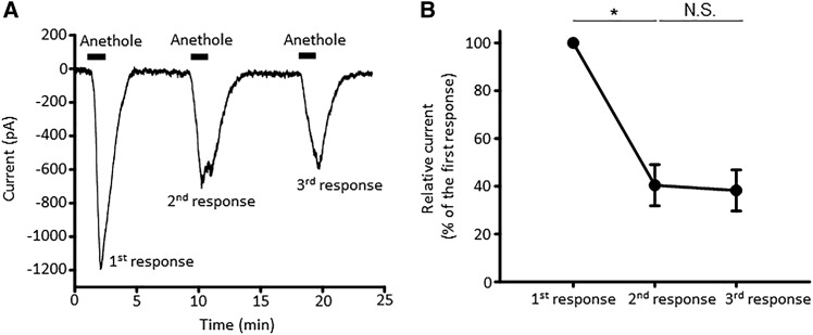 Fig. 8.