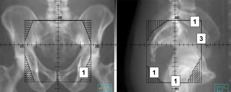 Figure 2: