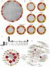 Fig 5