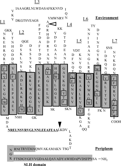 FIG. 7.