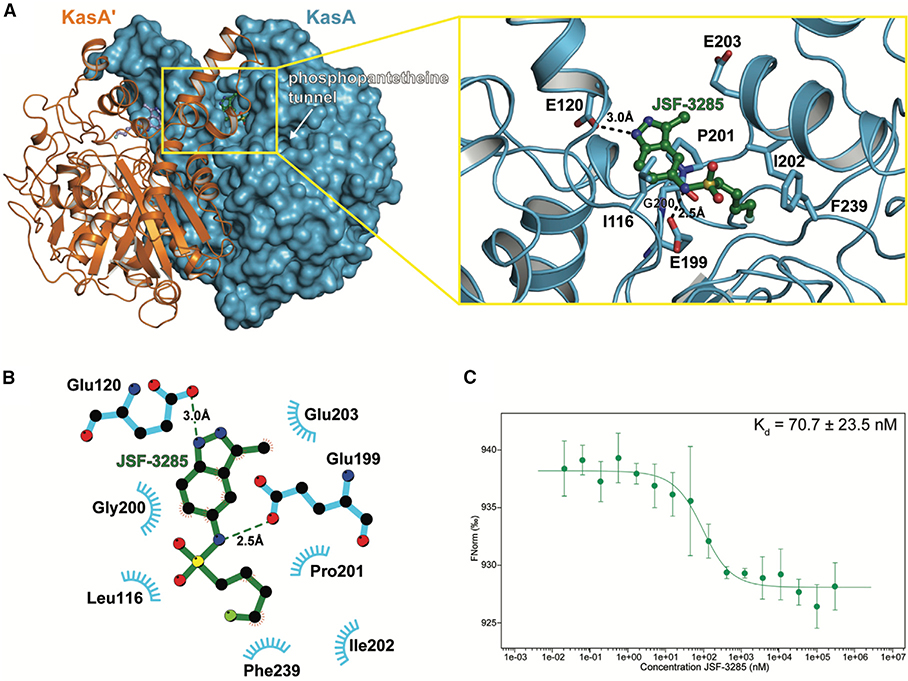 Figure 4.