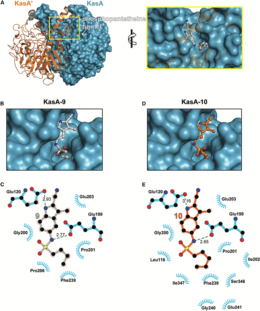 Figure 2.