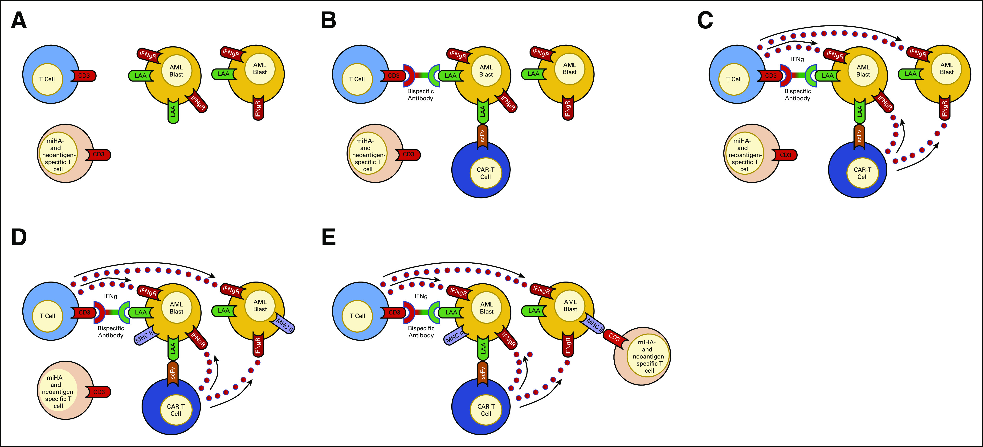 FIG 1.