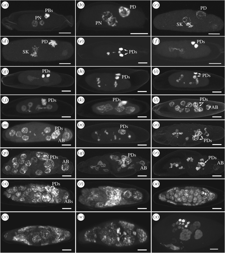 Figure 2.