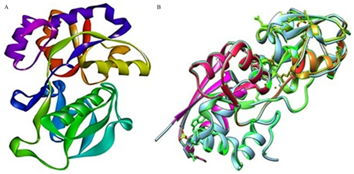 Figure 6.