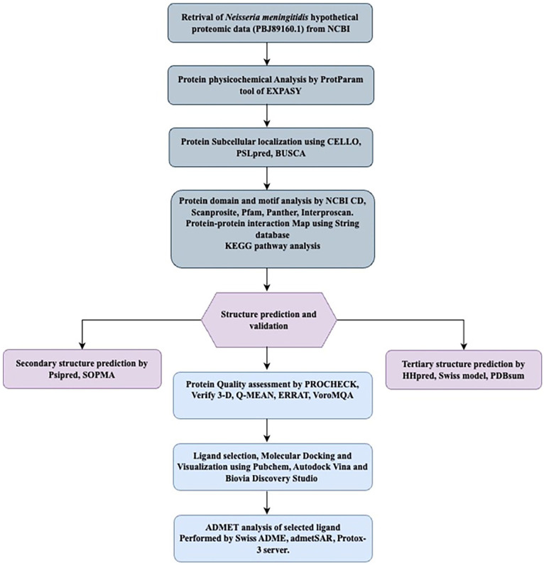 Figure 1.