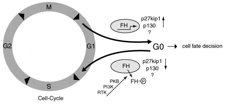 FIG. 9.