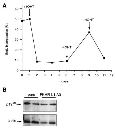 FIG. 8.