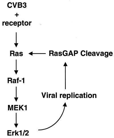 FIG. 7.