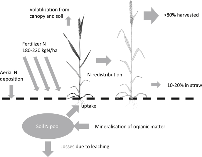 Fig. 4