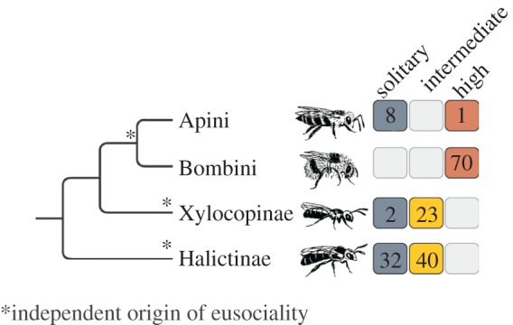 Figure 1.