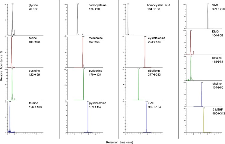 Fig. 2