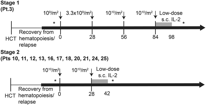 Extended Data 2: