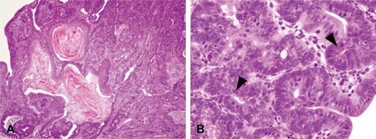 Fig. 8.