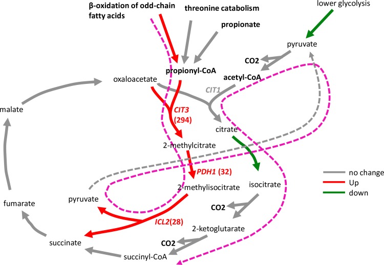 Fig 15