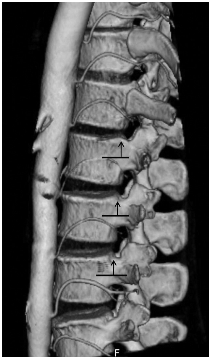 Fig. 5