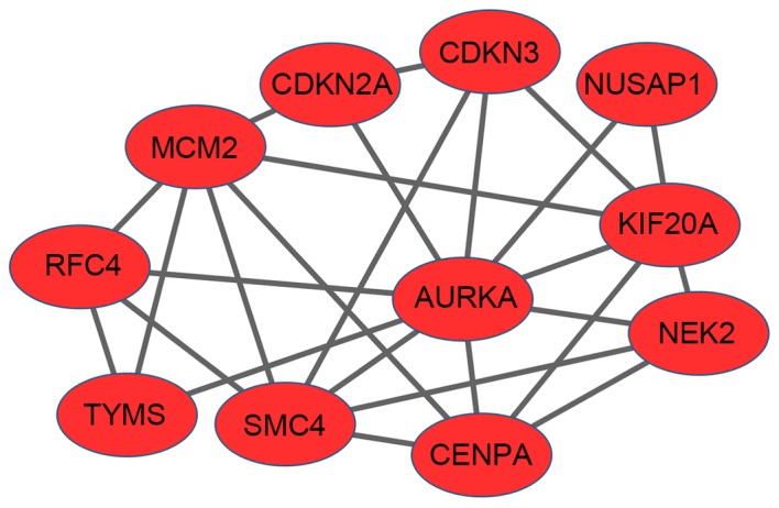 Figure 3.