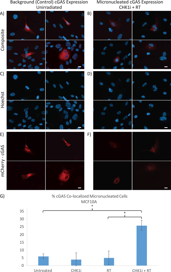 Figure 3: