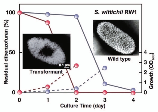 Figure 9