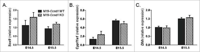 Figure 3.