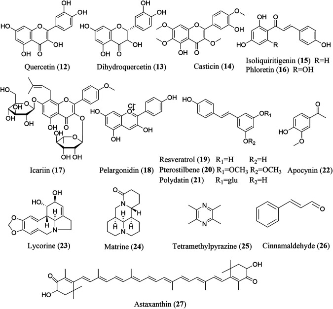 FIGURE 3