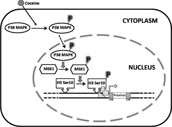 FIGURE 9