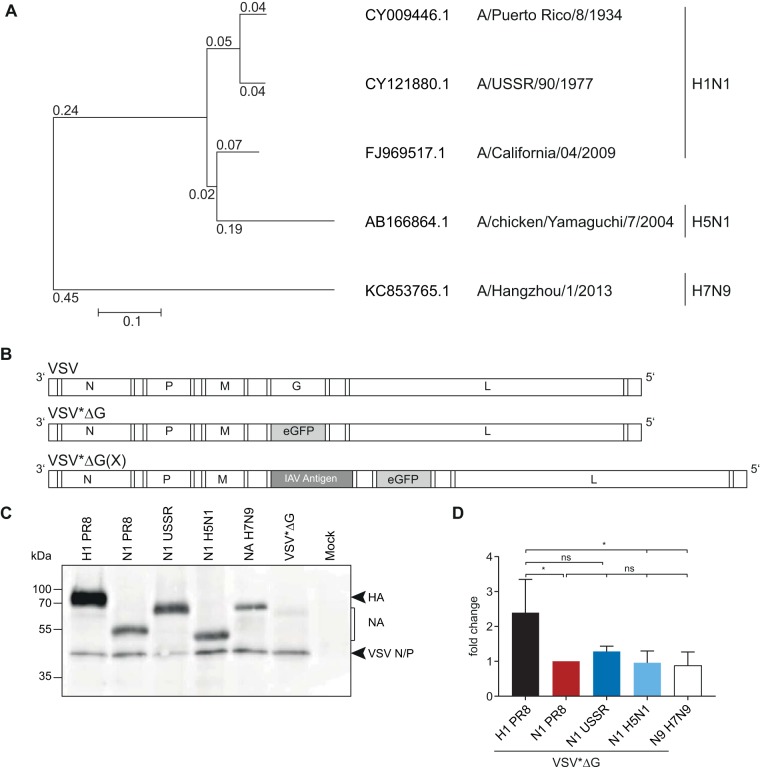 FIG 1