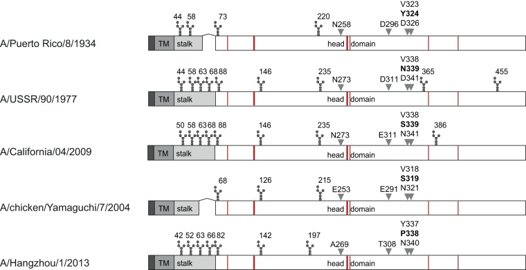 FIG 6